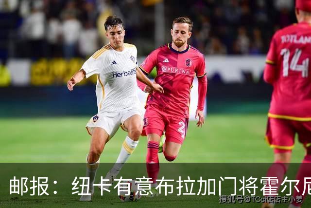 邮报：纽卡有意布拉加门将霍尔尼切克，球员此前曾拒绝赫尔城